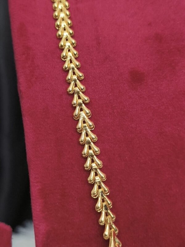 Impon Lakshmi dollar chain - Image 3