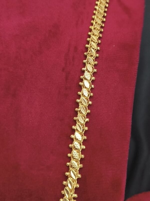 Impon big size dollar chain - Image 3