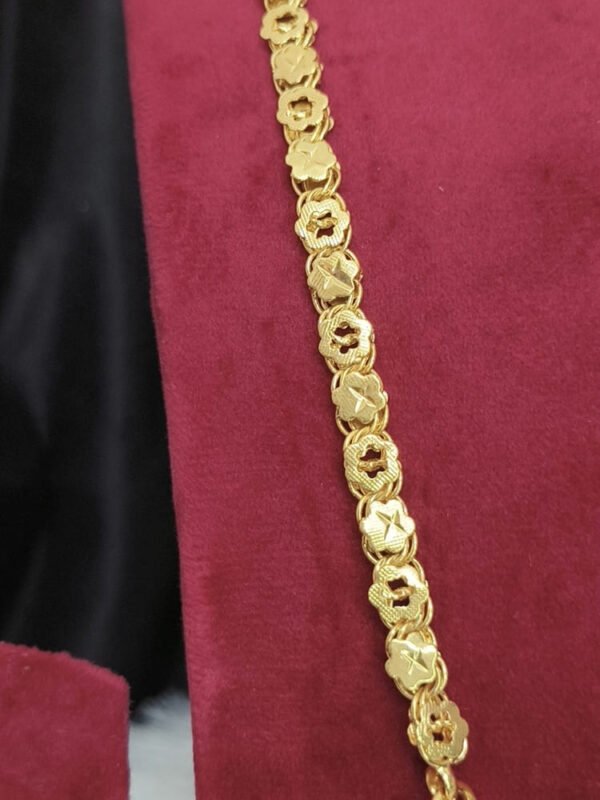 Impon 3 Annam big size dollar chain - Image 3